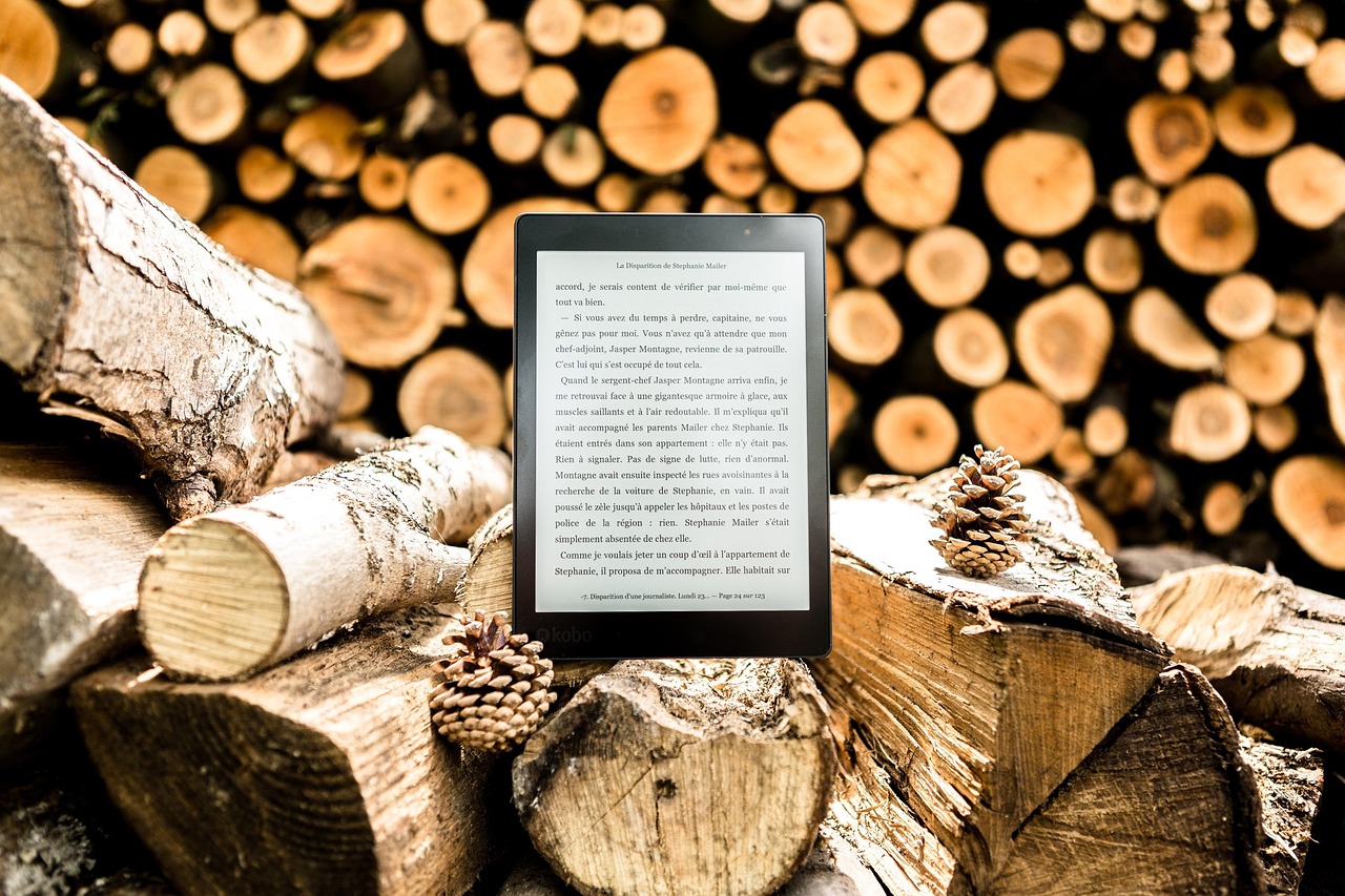 Электронная книга