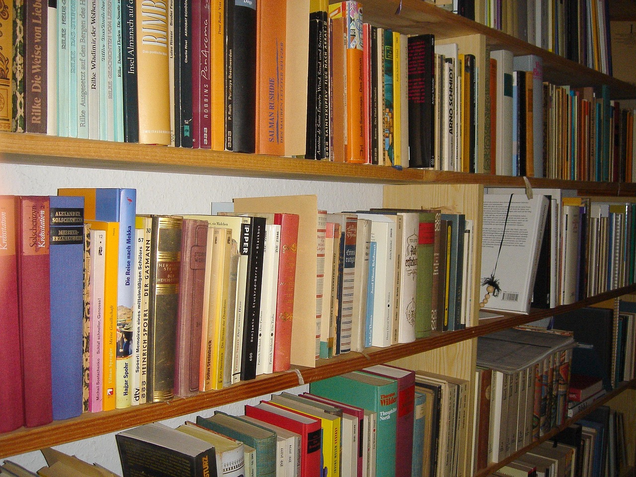 Книжная полка